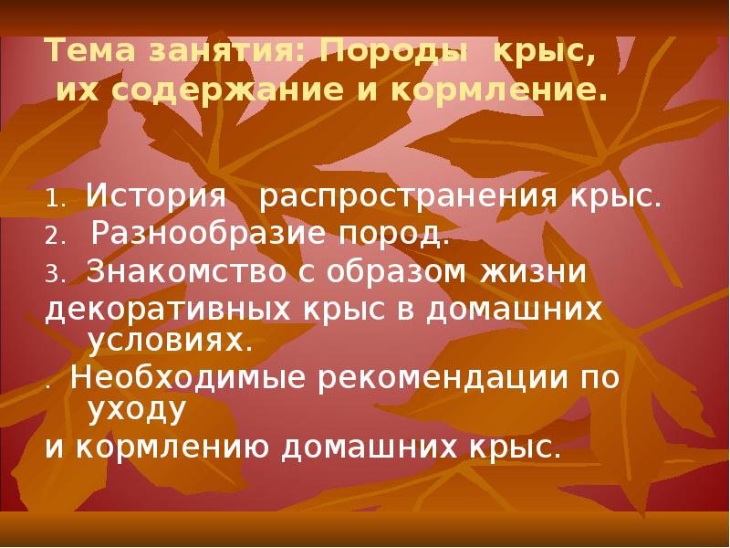 Тема занятия: Породы крыс, их содержание и кормление.
1. История Тема занятия: Породы крыс, их содержание и кормление.
1. История
