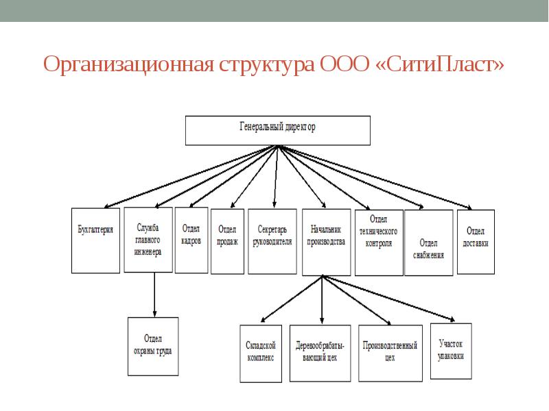 Ооо структура. Организационная структура управления СДЭК. Организационная структура компании вайлдберриз. Организационная структура ООО «АЛИДИ. Организационная структура ООО «Русмолоко».