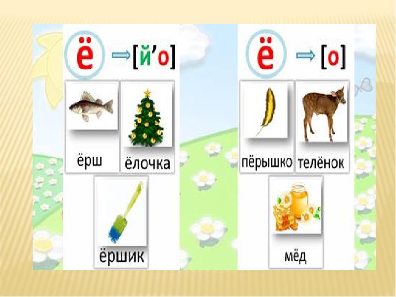 Есть звук е. Автоматизация звука е ё. Авторизация звука е. Лето происхождение звука е. Айди звук е распечатать.