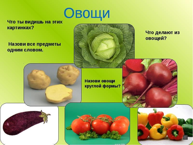 Что называют овощами. Назови одним словом презентация. Овощи круглой формы. Какие овощи овальной формы. Какой овощ круглый.