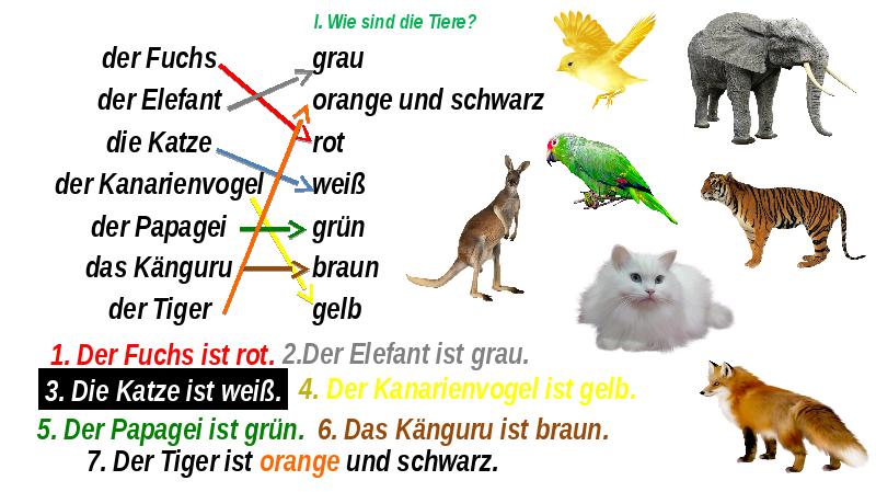 Wie ist er. A wie sind die Tiere ответы. Die Tiere презентация. Животные на немецком языке во множественном числе. Задания по немецкому языку die Tiere.