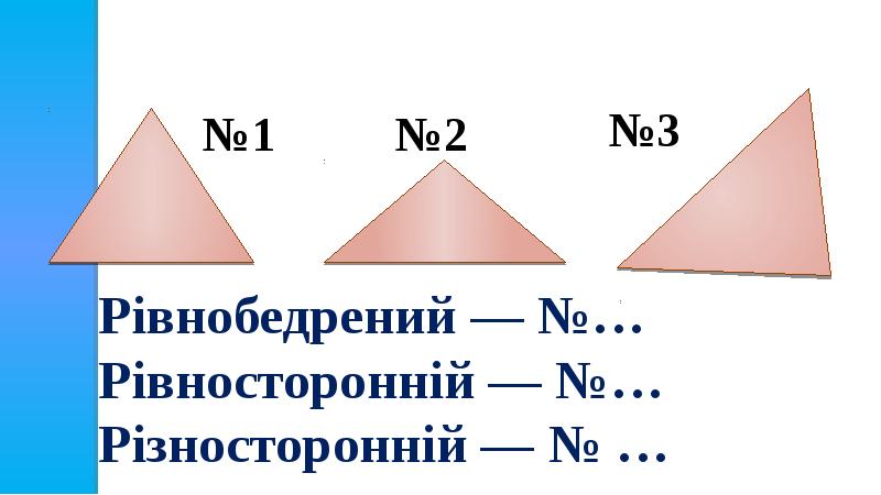 Види. Види многокутникоы.