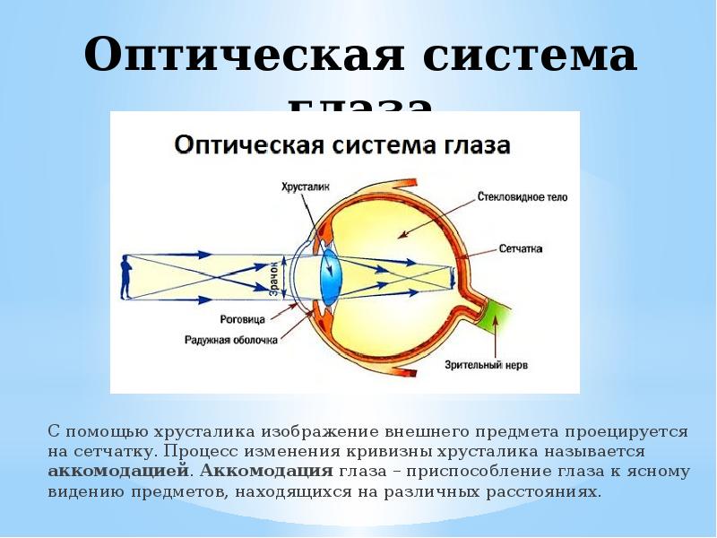 При рассматривании предмета на далеком расстоянии четкое изображение на сетчатке глаза не возникает