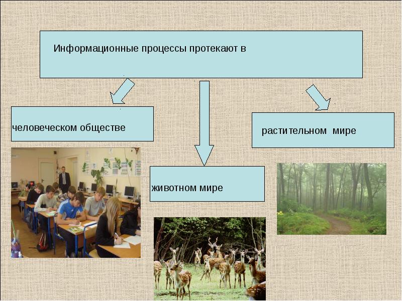 Что Такое Фото Процесс