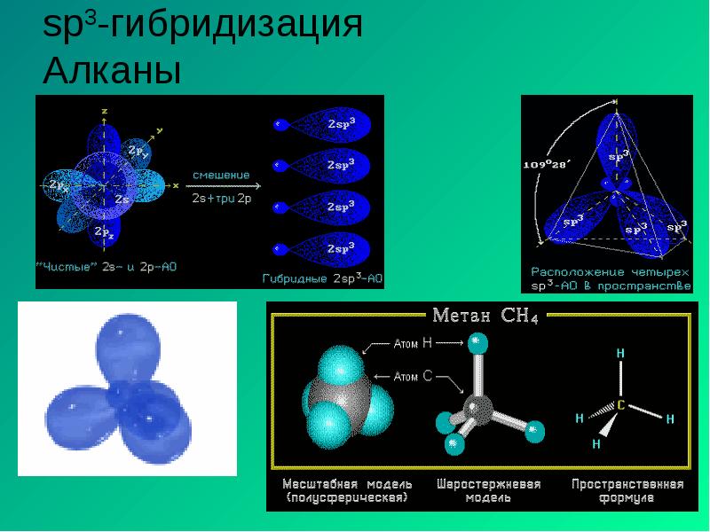 sp3-гибридизация Алканы sp3-гибридизация Алканы