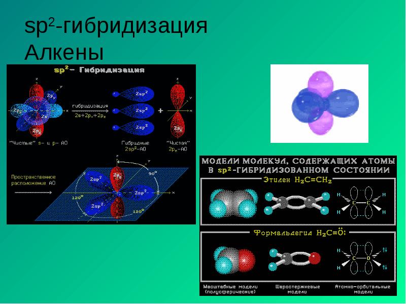 sp2-гибридизация Алкены sp2-гибридизация Алкены
