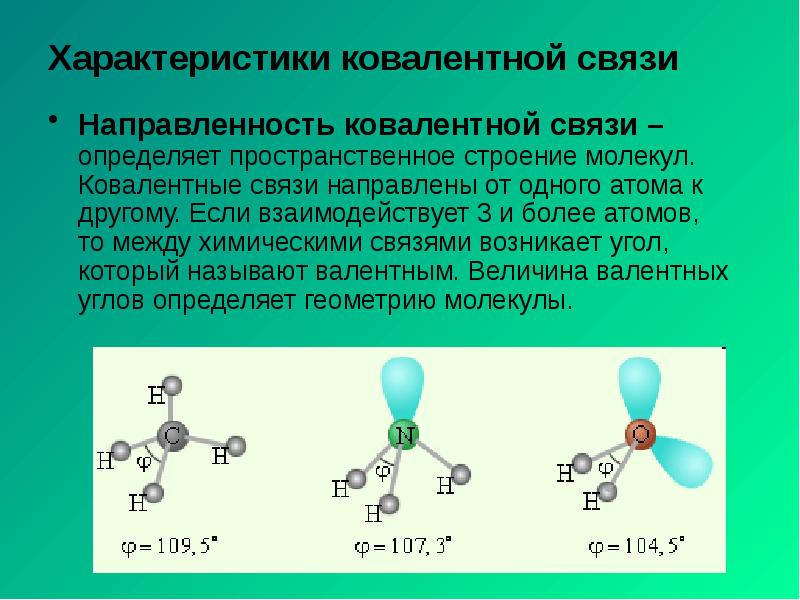 Характеристики ковалентной связи
Направленность ковалентной связи – определяет пространственное строение молекул. Характеристики ковалентной связи
Направленность ковалентной связи – определяет пространственное строение молекул.