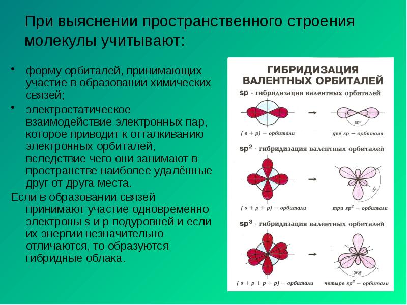 При выяснении пространственного строения молекулы учитывают:
форму орбиталей, принимающих участие в При выяснении пространственного строения молекулы учитывают:
форму орбиталей, принимающих участие в