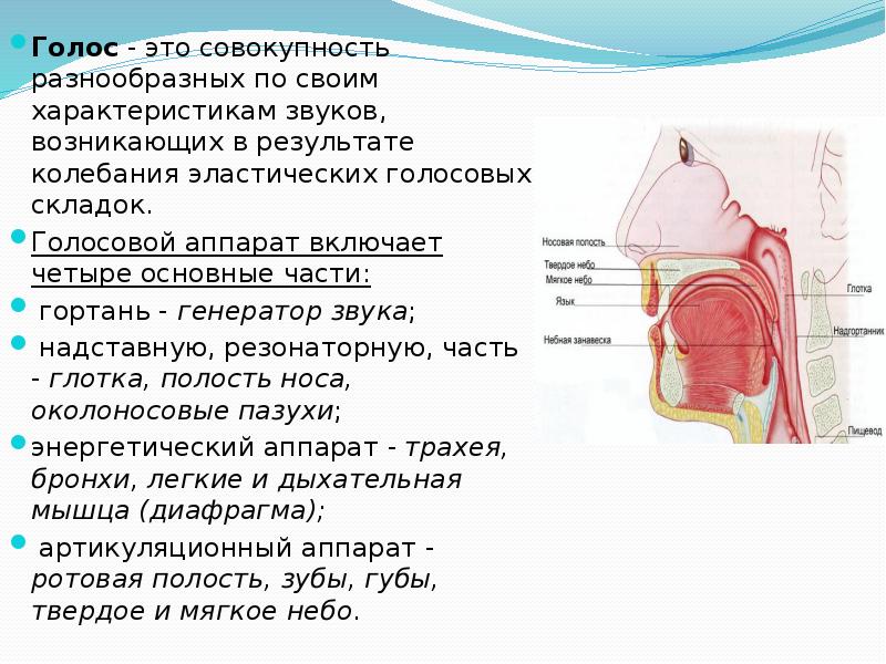 Звук возникает в результате