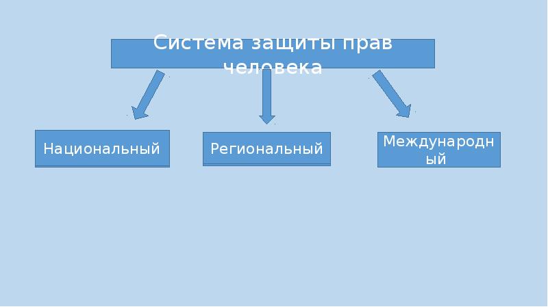 Проект международная защита прав человека