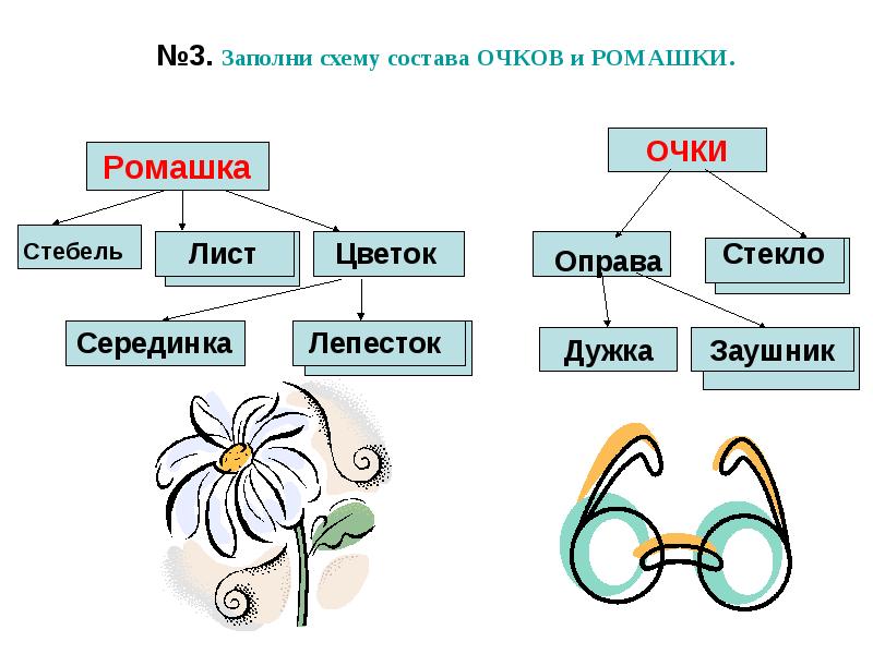 Состоит из четырех видов