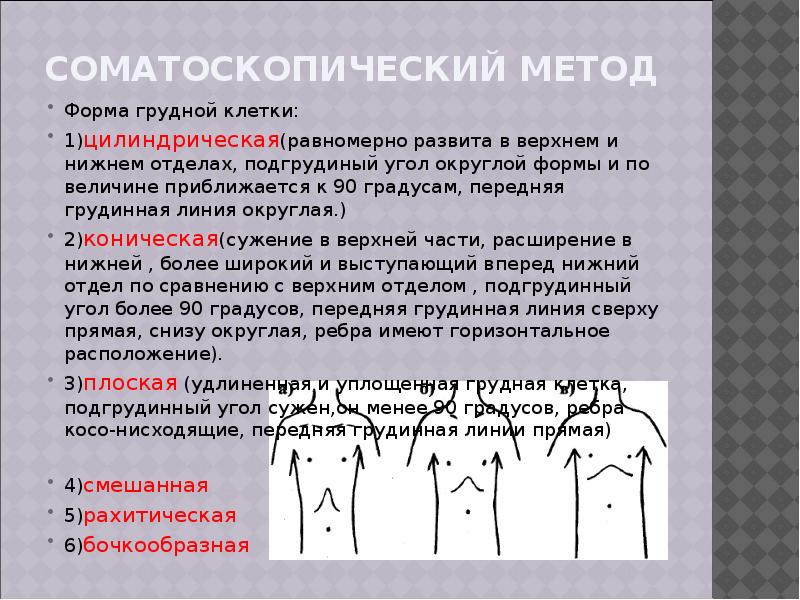 Практическая работа измерение грудной клетки. Цилиндрическая форма грудной клетки. Соматоскопический метод. Соматоскопический метод физического развития. Соматоскопические показатели.