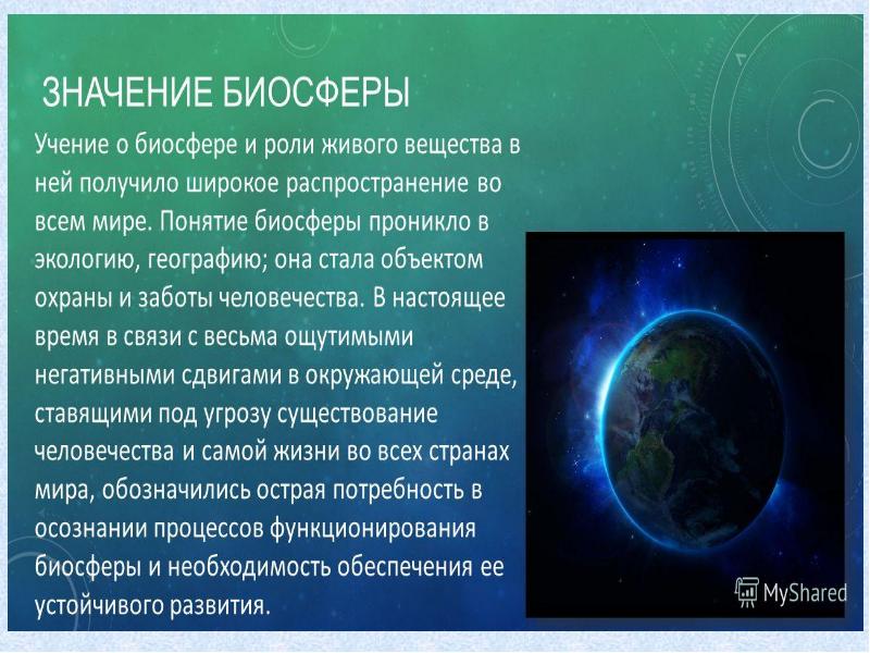 Презентация по теме биосфера