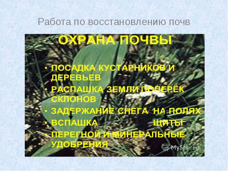 Сохранение и восстановления почв. Мероприятия по восстановлению почвы. регенерация почвы. презентация география 6 класс почва. мероприятия по восстановлению почвы 13 букв.