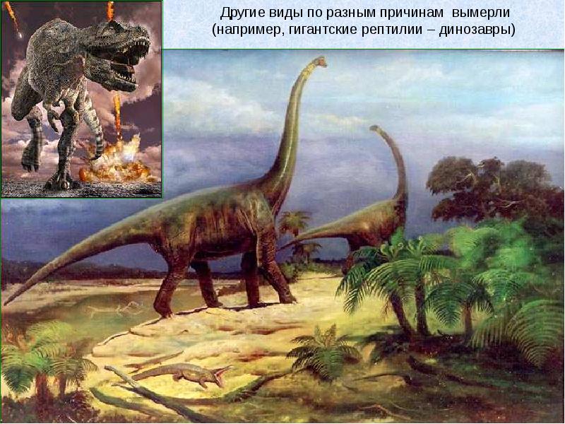 Вымершее пресмыкающееся 9. Гигантские рептилии вымерли. Теплокровные динозавры. Самые известные динозавры и рептилии. Причины вымирания гигантских рептилий.