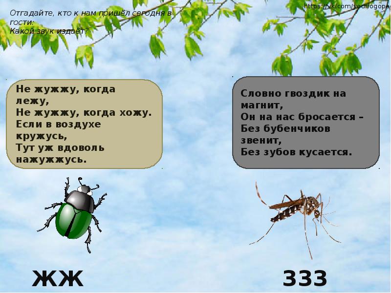 В ответ звук издает это. Кто какие звуки издает. Какие звуки издают насекомые. Насекомые которые издают звуки. Какие звуки издают насекомые для детей.