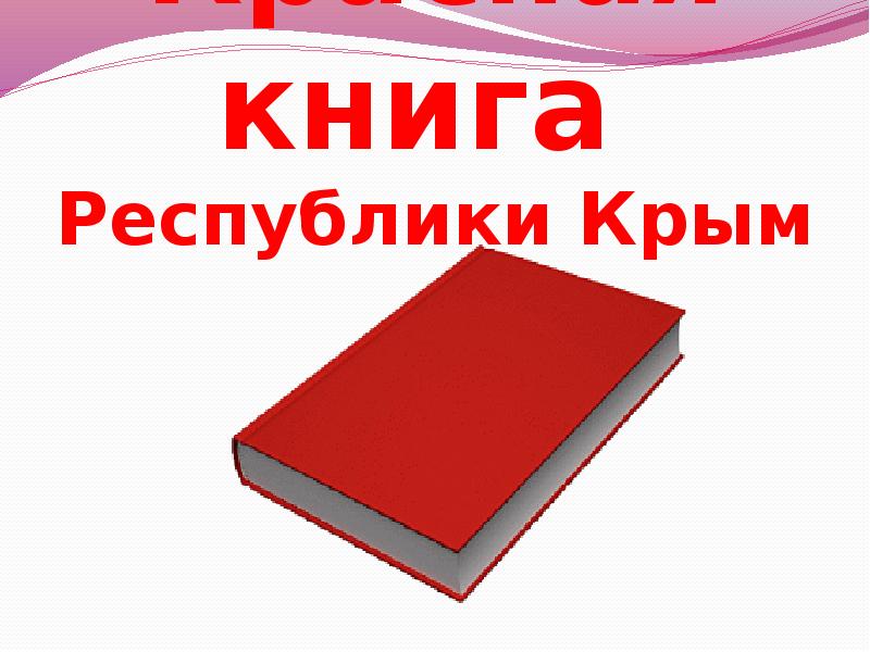 Республика книги