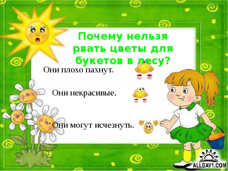 Почему нельзя рвать. В природе все взаимосвязано. Почему нельзя срывать растения. Почему нельзя рвать цветы. Почему нельзя ловить бабочек.