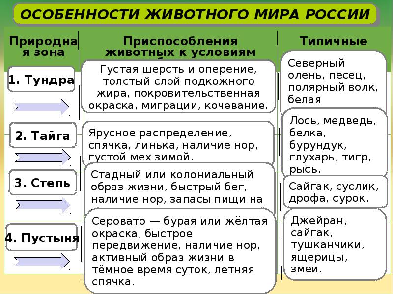 Природные зоны растительность и животный мир таблица. Приспособление животных в природных зонах. Растительный и животный мир России таблица. Природные зоны растения и животные таблица.
