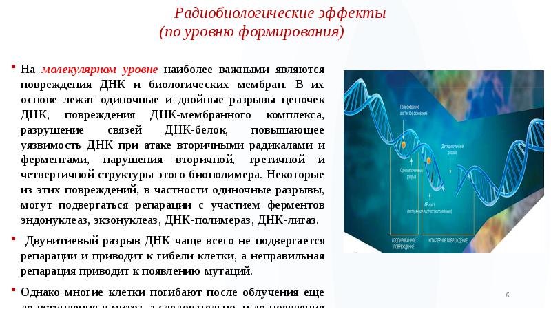 Презентация на высшем уровне