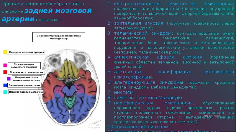 Карта описания онмк