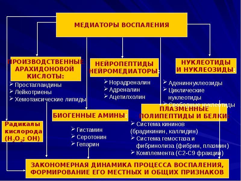 Какие процессы предшествуют экссудации см схему