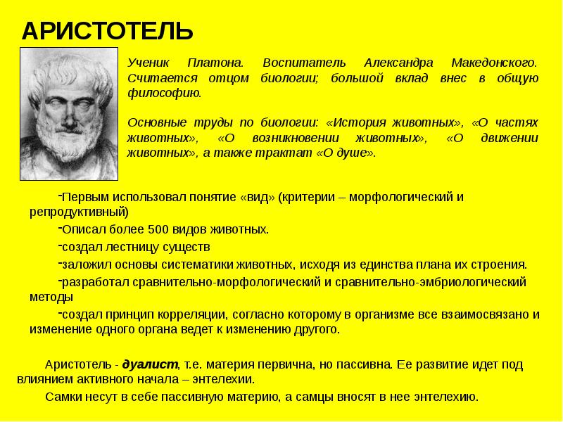 Аристотель вклад. Аристотель вклад в биологию. Труды Аристотеля в биологии.