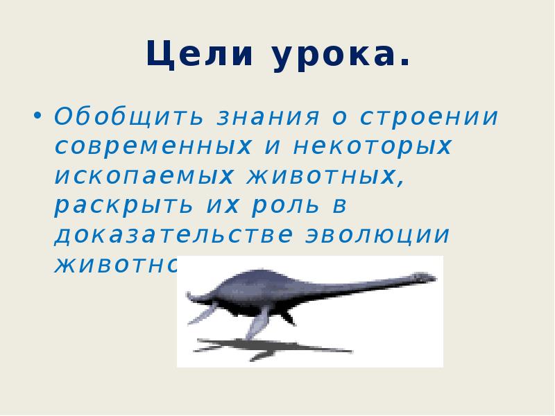 Знания обобщены. Доказательства эволюции животного мира презентация 7 класс. Происхождение животных 7 класс. Презентация мир животных 7 класс. Урок обобщение в мире животных для 2 варианта цель урока.