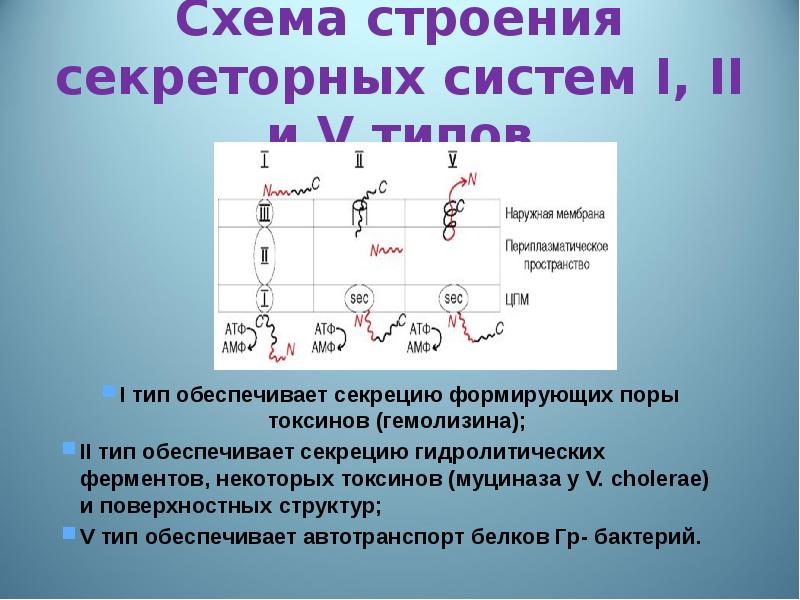 Системы первого и второго типа