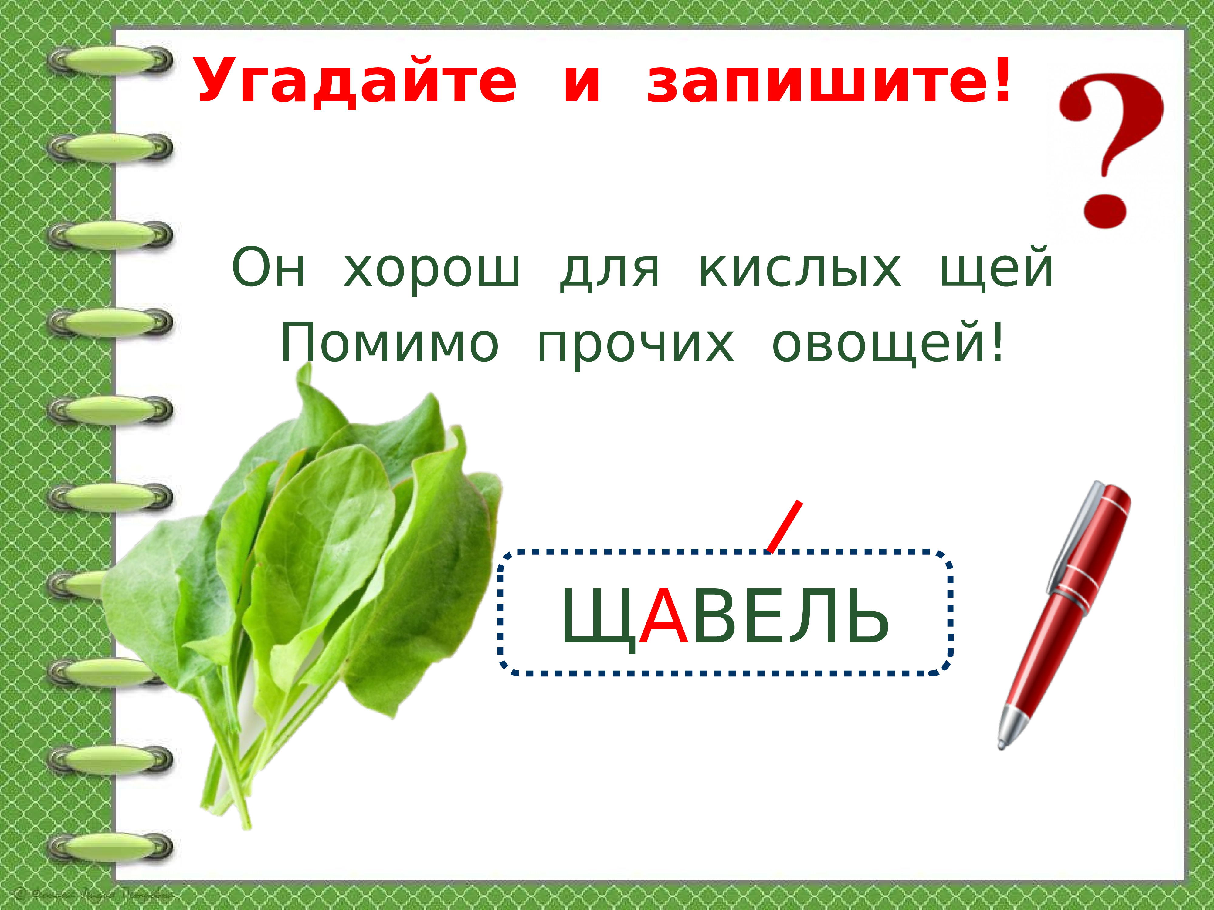 Щавель какие слова. Обобщение знаний о прилагательном 3 класс школа России презентация. Он хорош для кислых щей помимо прочих овощей ответ на загадку. Щавель какой прилагательные. Обобщение знаний о языке и речи 3 класс Канакина презентация.
