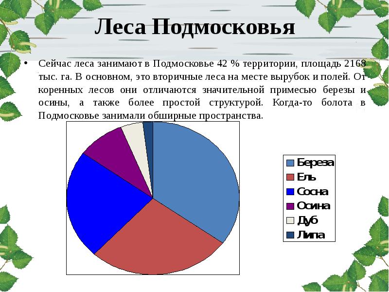 Леса занимают. Доклад леса Подмосковья. Характеристика лесов Подмосковья. Какую долю в целом занимают леса. Сколько % территории занимают леса в Германии.