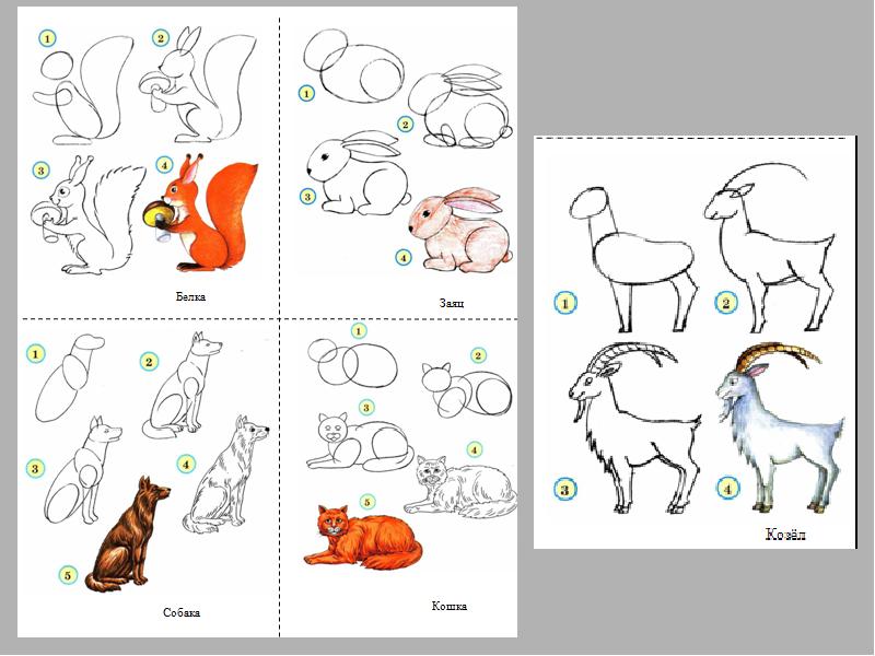 Анималистический рисунок поэтапно