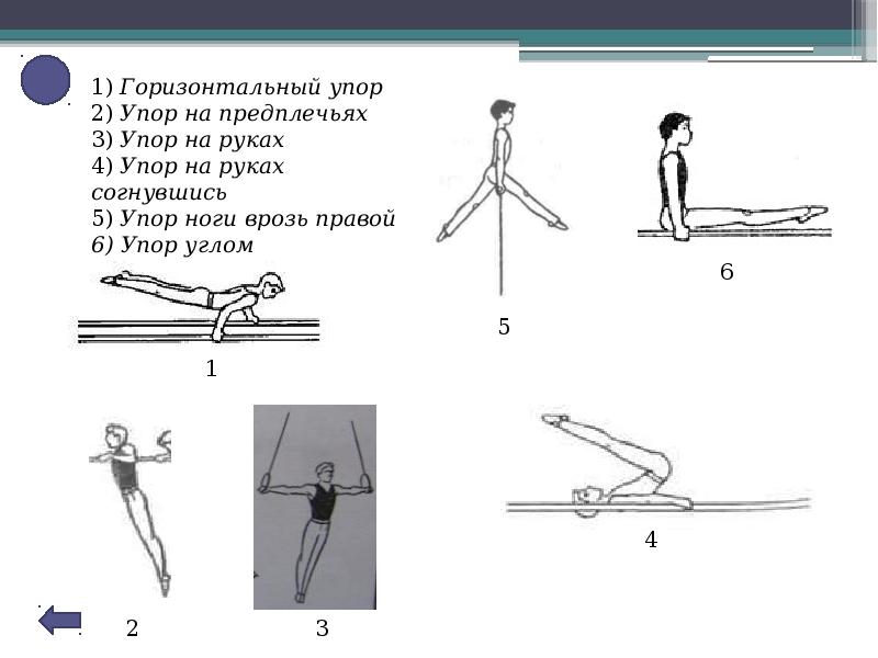 Где расположены рецепторы позволяющие изображенной на рисунке гимнастке выполнять данное