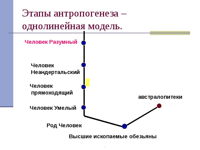 Антропогенез