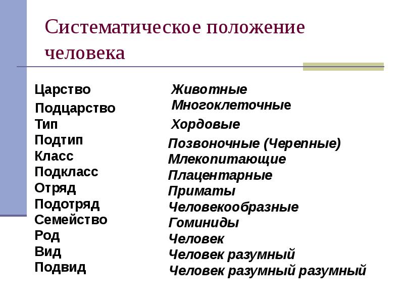 Положение человека в мире. Систематическое положение человека разумного 8 класс. Систематическое положение вида homo sapiens таблица. Человек царство Подцарство Тип класс отряд. Положение человека в систематике.