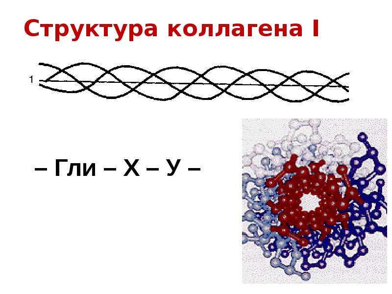 Состав коллагена