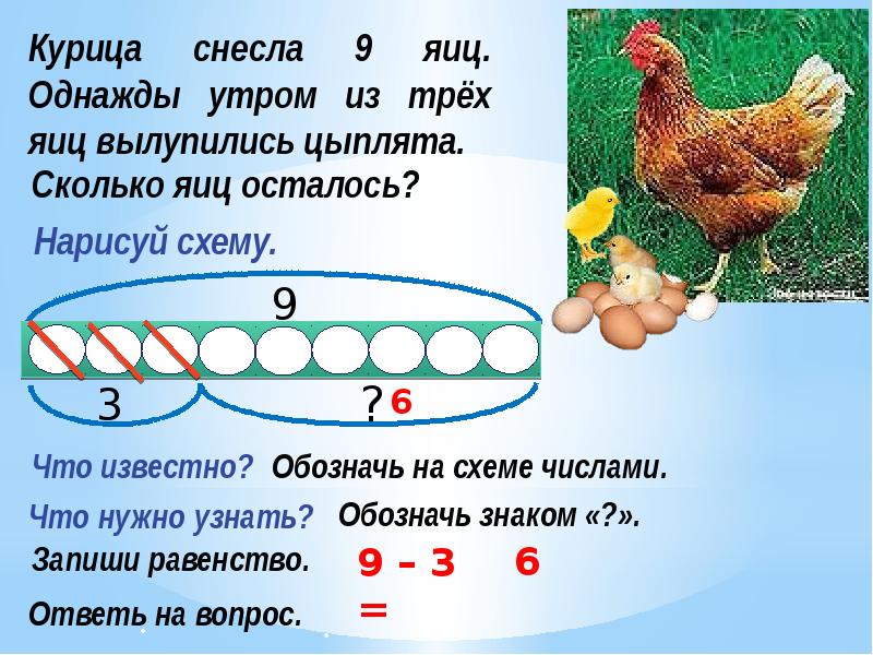 Курица снесла 3 яйца. Задача курица снесла яиц одну часть сколько. Сколько яиц может снести курица за день. Деревня курица снесла яйца. Стих курица снесла яички.