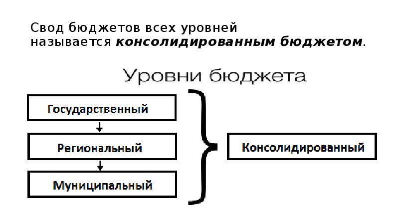 Государственный бюджет это основной финансовый план государства имеющий силу закона