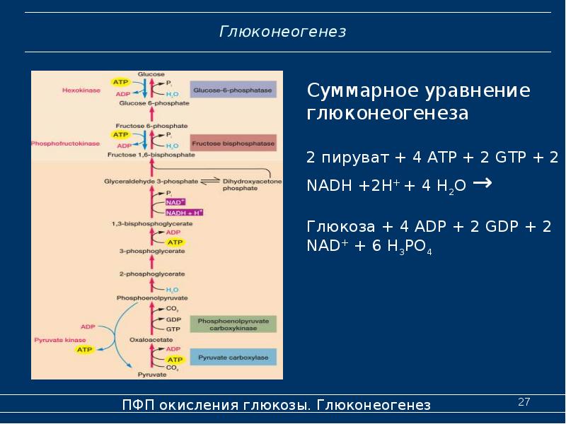 Схема бета окисление