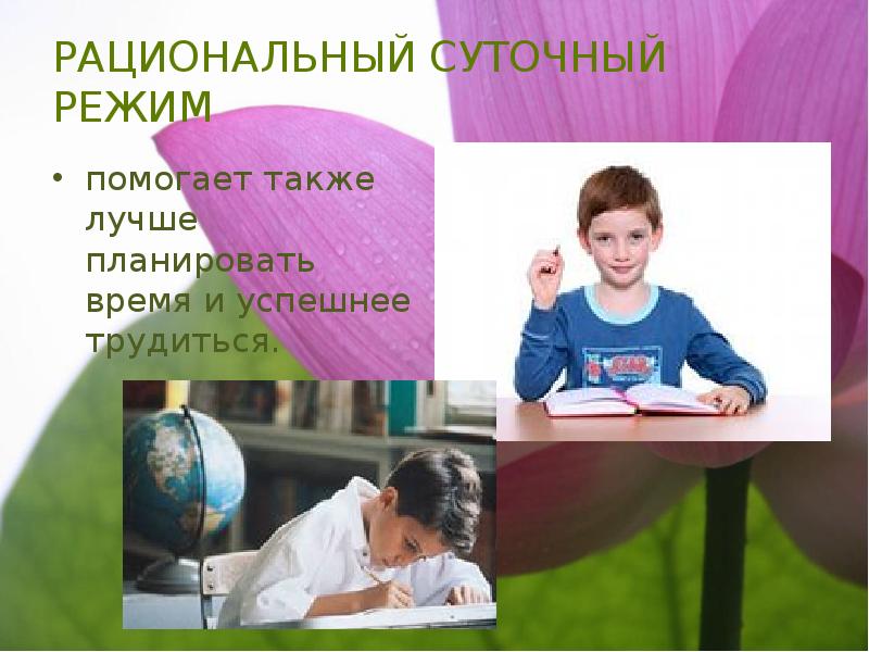 Рациональный суточный режим презентация