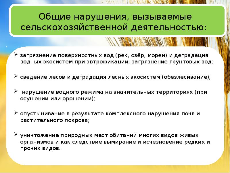 Какие точки зрения высказывались в руководстве ссср по проблемам развития сельского хозяйства стране