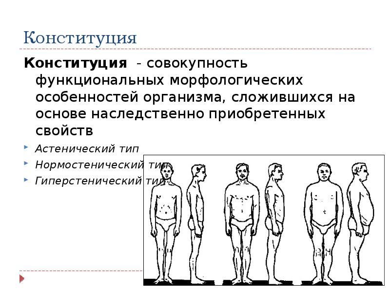 Морфологические и функциональные свойства организма. Типы телосложения астенический нормостенический и гиперстенический. Морфологические типы Конституции. Нормостенический Тип Конституции. Типы телосложения нормостеническое.