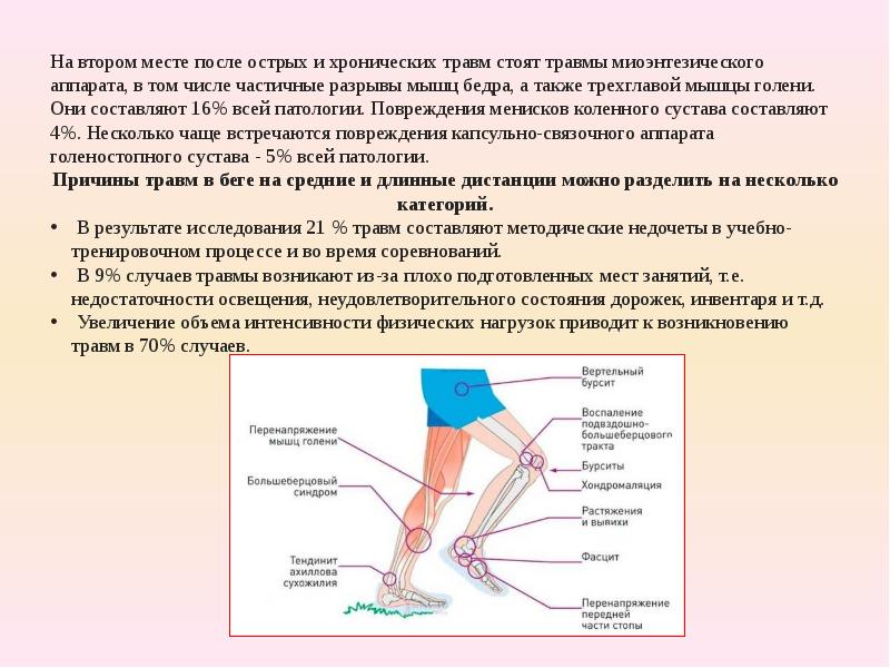 Дисциплина физическая культура. Трехглавая мышца бедра травма. Растяжение перенапряжение капсульно-связочного аппарата. Ушиб трехглавой мышцы бедра. Ослабление связочно-мышечного аппарата.