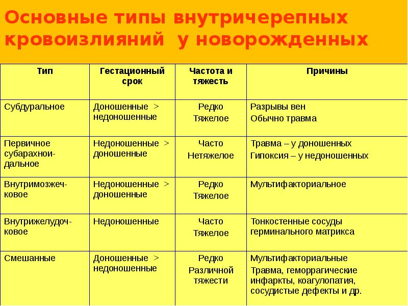 Презентации анатомия рниму