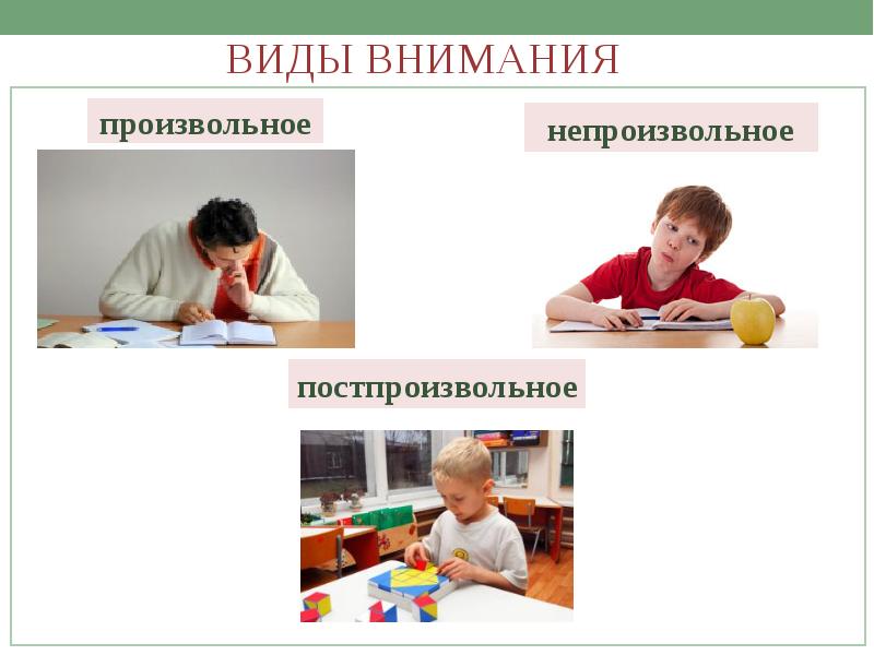 Произвольное внимание презентация