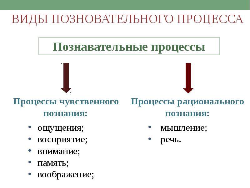 Презентация познавательные процессы биология