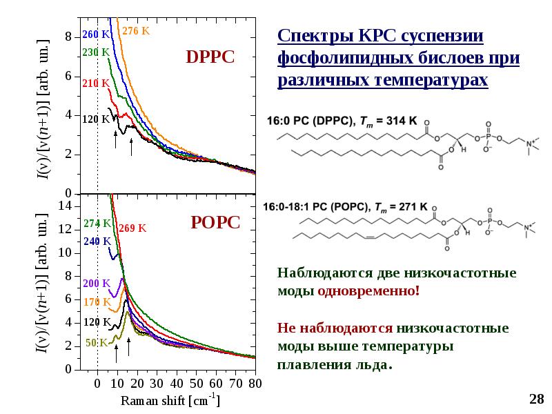 Раман спектроскопия презентация