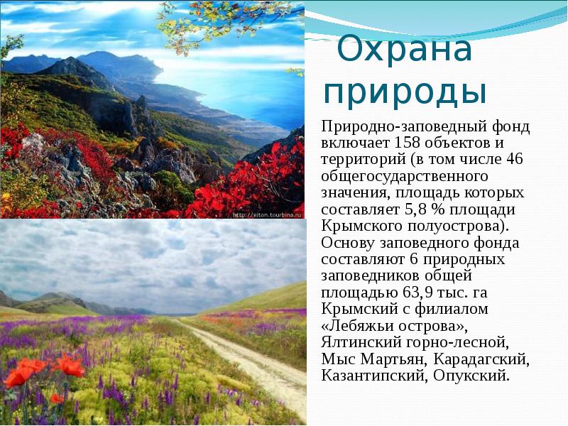 Фонды крыма. Охрана природы Крыма. Природа Крыма описание. Растительные сообщества Крыма. Растительный мир Крыма презентация.