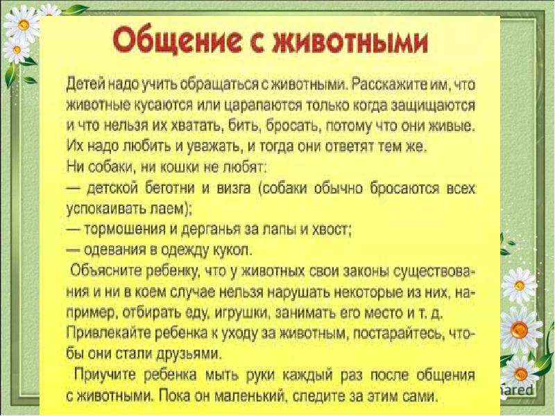 Родительское собрание безопасность летом презентация