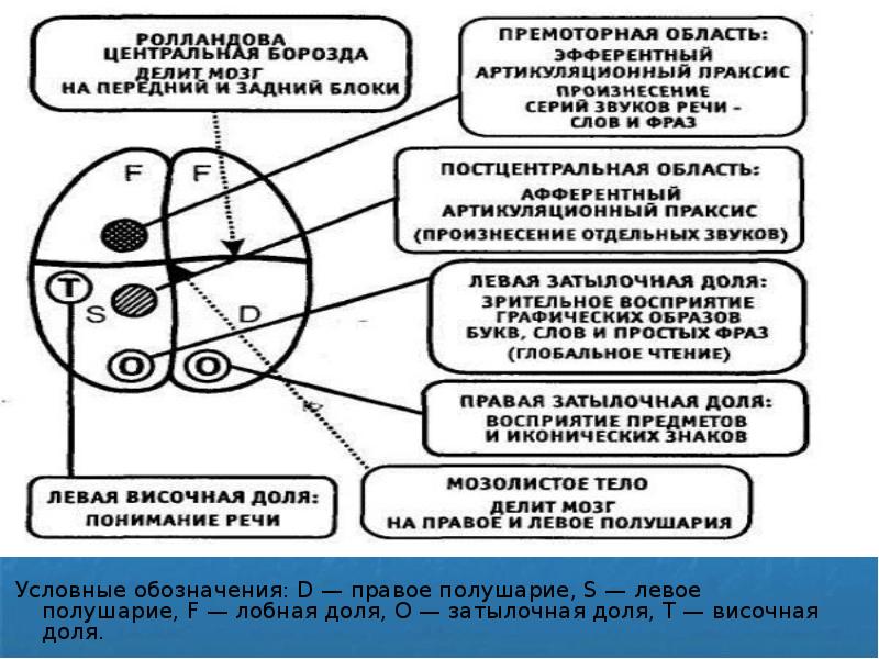 Локализационная карта клейста